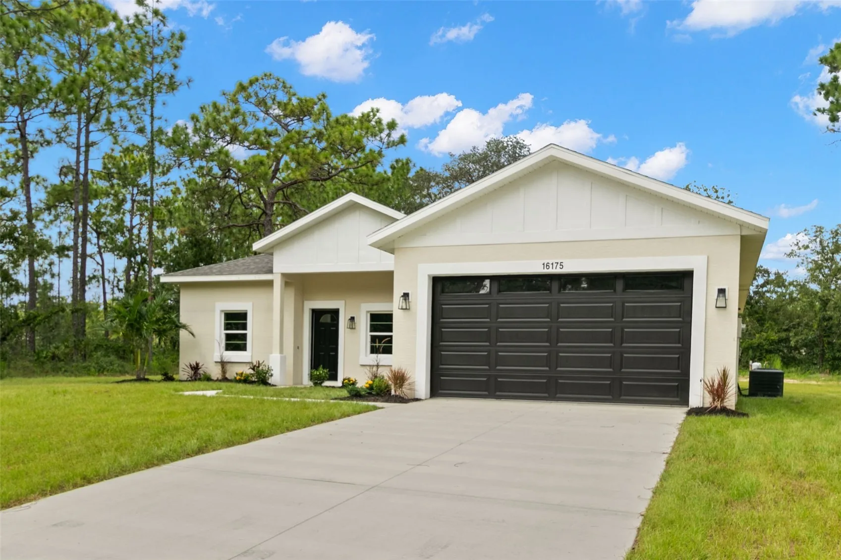 View of 16175 Dusky Sparrow Rd, photo 3