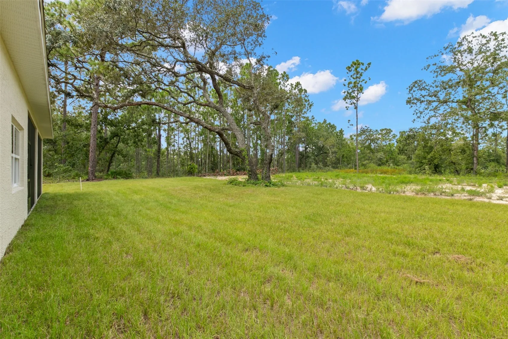 View of 16175 Dusky Sparrow Rd, photo 34
