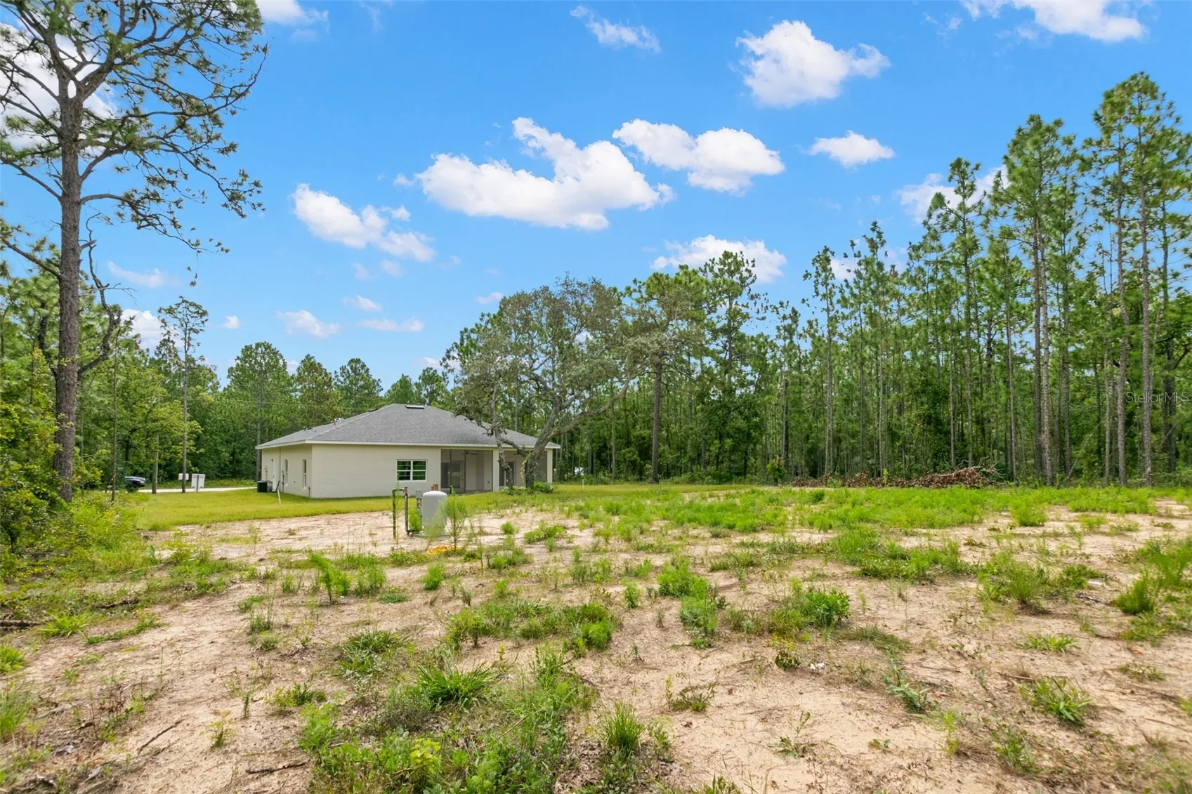 View of 16175 Dusky Sparrow Rd, photo 36