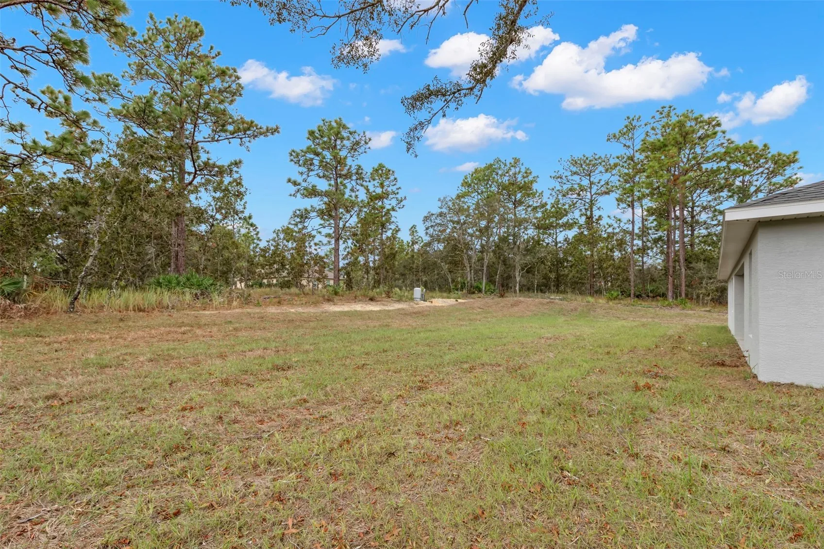 View of 12084 Squeeze Ave, photo 41