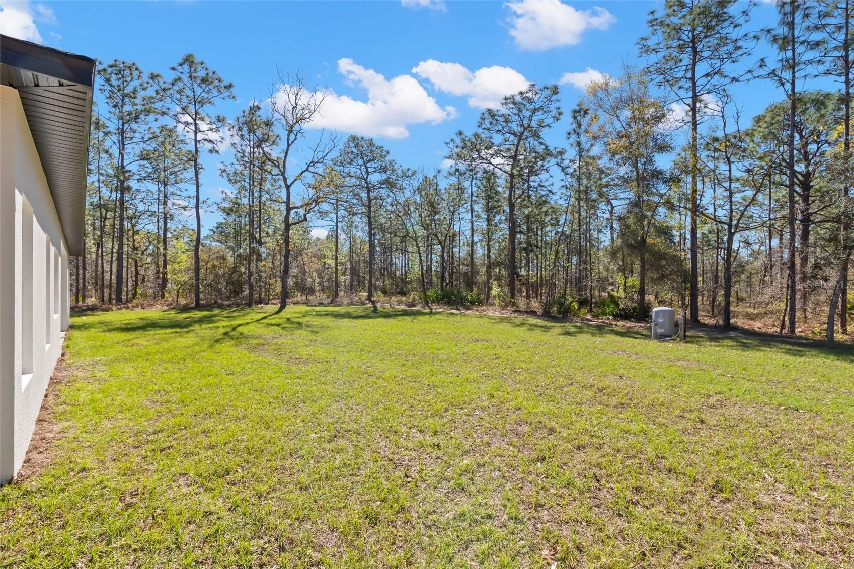 View of 13376 Sooty Tern Ave, photo 44
