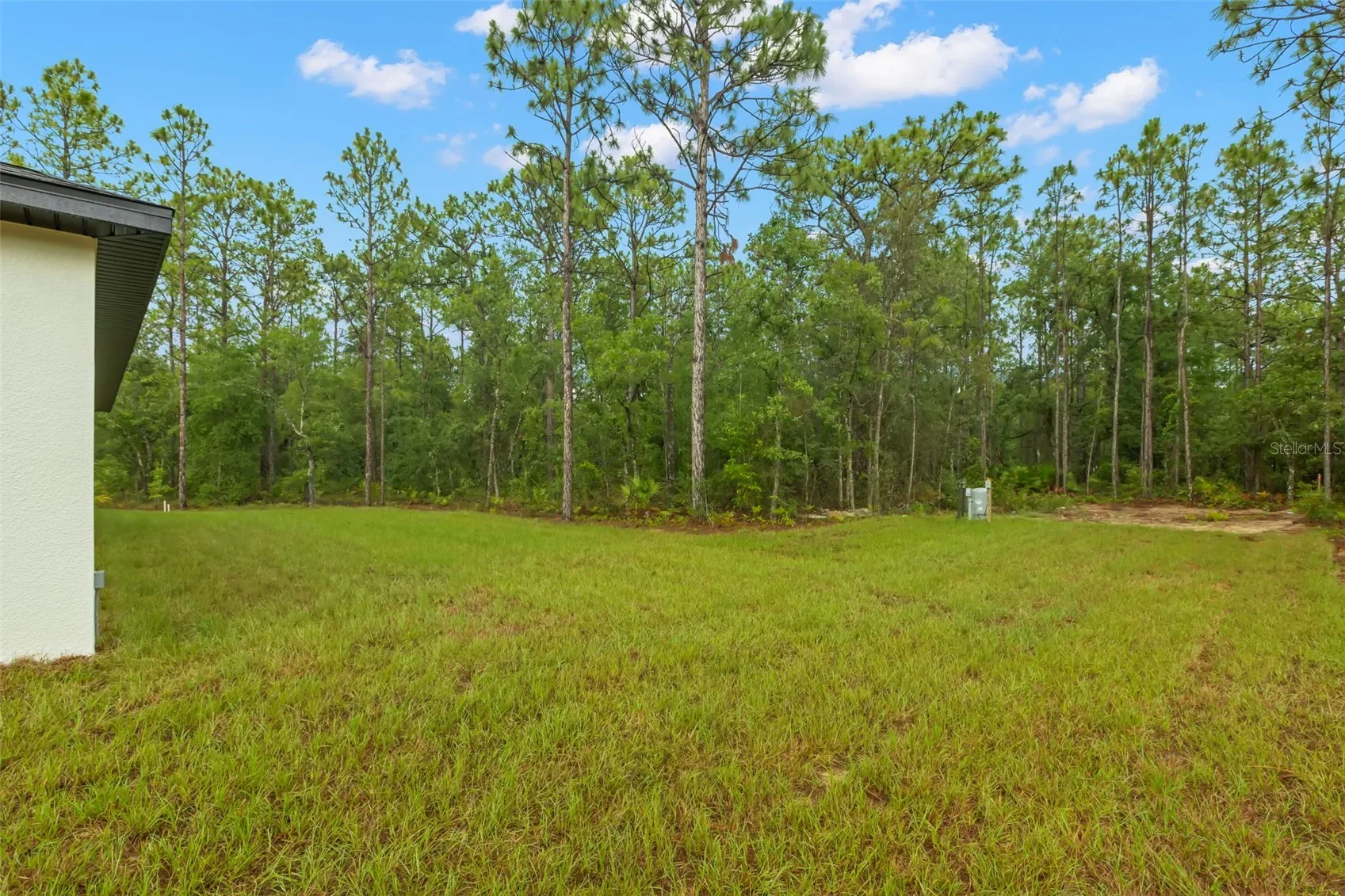 View of 13332 Schick Ave, photo 42