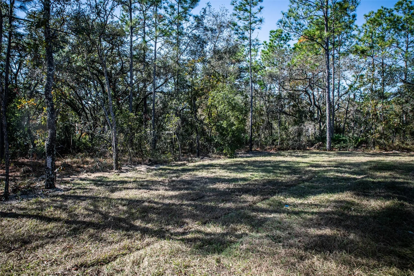 View of 11350 Sage Thrasher Ave, photo 44