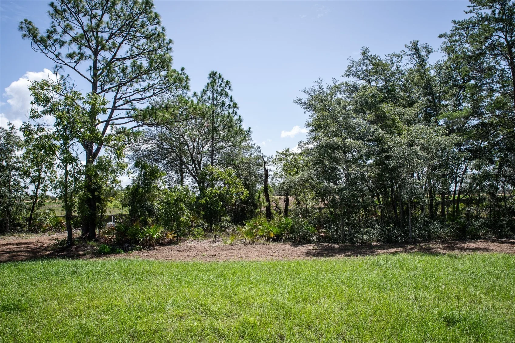 View of 18080 Maberly Rd, photo 37